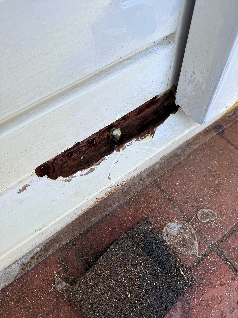 Waarom kiezen voor houtrot / houtherstel?